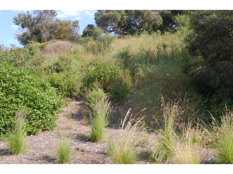 15 Arthurs View, Fingal VIC 3939