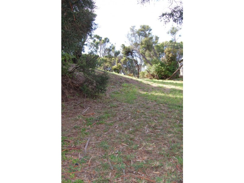 81 Grandview Avenue, Rye VIC 3941