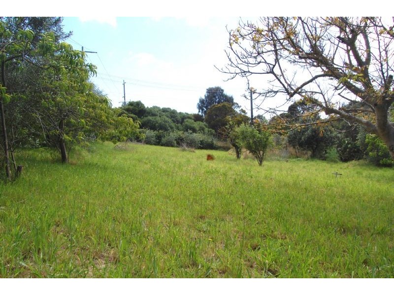 399 Browns Road, Rye VIC 3941