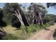 27 Banyan Street, St Andrews Beach VIC 3941