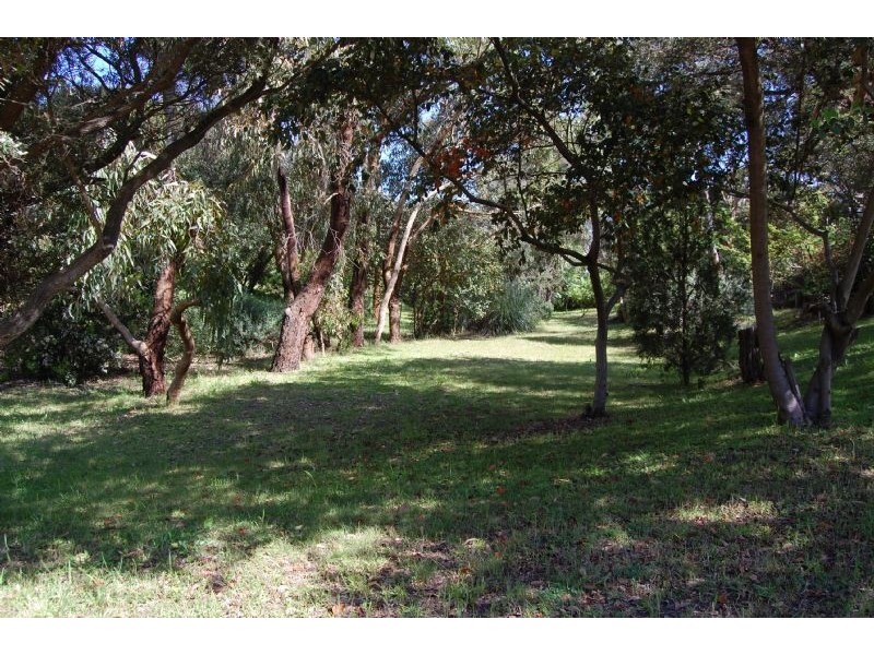 13 Alwyn Street, Rye VIC 3941