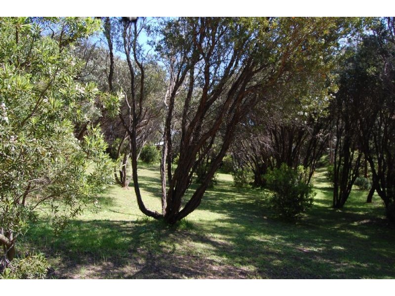 13 Alwyn Street, Rye VIC 3941