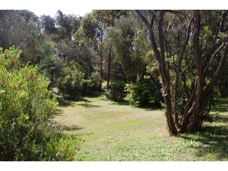 13 Alwyn Street, Rye VIC 3941