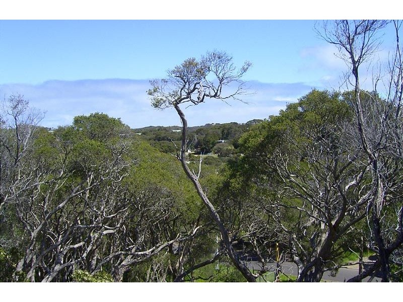 27 Felecia Street, Rye VIC 3941