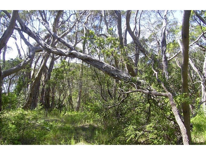 27 Felecia Street, Rye VIC 3941