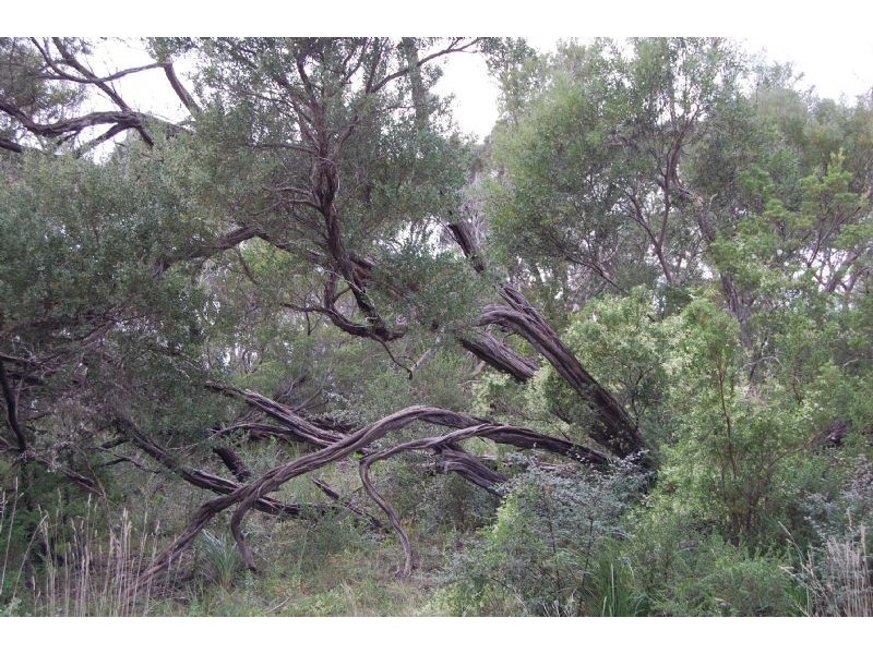 27 Felecia Street, Rye VIC 3941