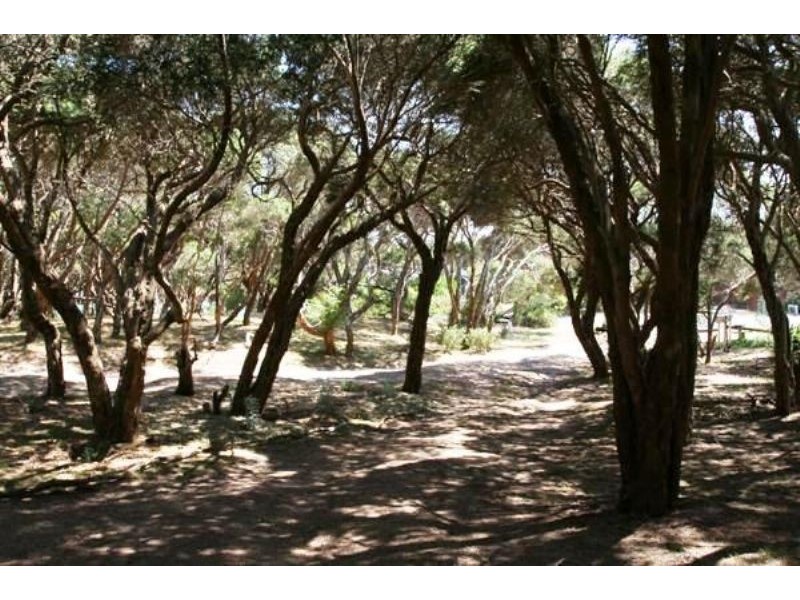 198 Bass Meadows Blv, St Andrews Beach VIC 3941
