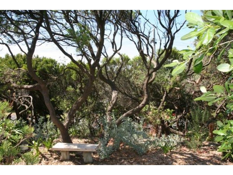 198 Bass Meadows Blv, St Andrews Beach VIC 3941
