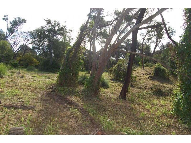 34 Agnes Avenue, Blairgowrie VIC 3942