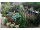 127 Brights Drive, Rye VIC 3941