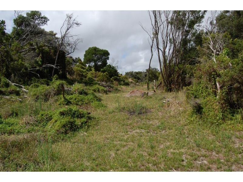 35 Placadena Road, Fingal VIC 3939