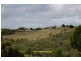 35 Placadena Road, Fingal VIC 3939