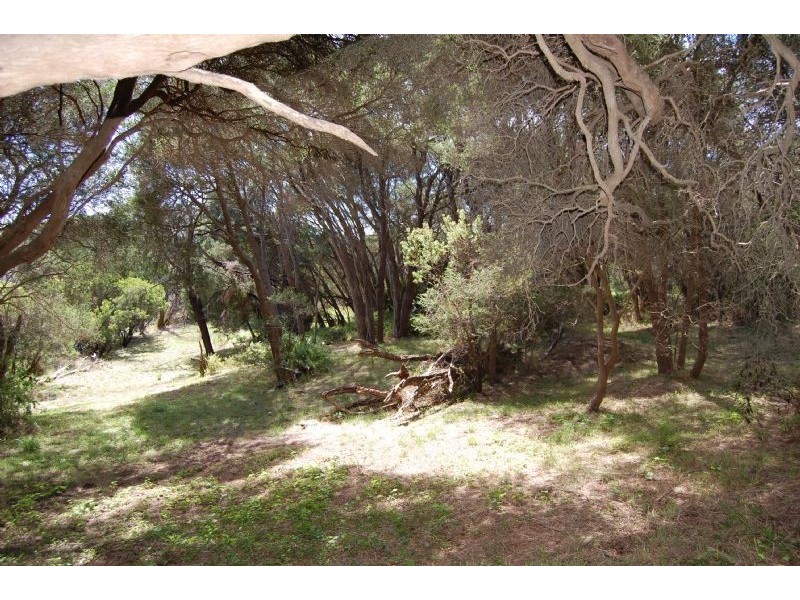 15 Mernda Street, Rye VIC 3941