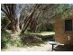 141 Brights Drive, Rye VIC 3941