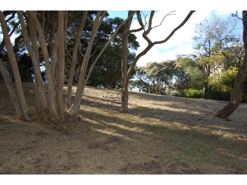 20 Agnes Avenue, Blairgowrie VIC 3942