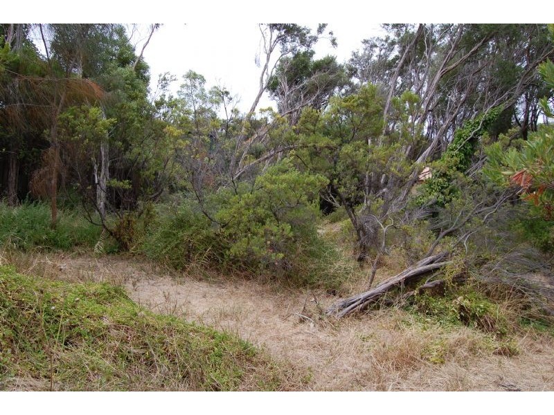 3 Andrea Street, Rye VIC 3941