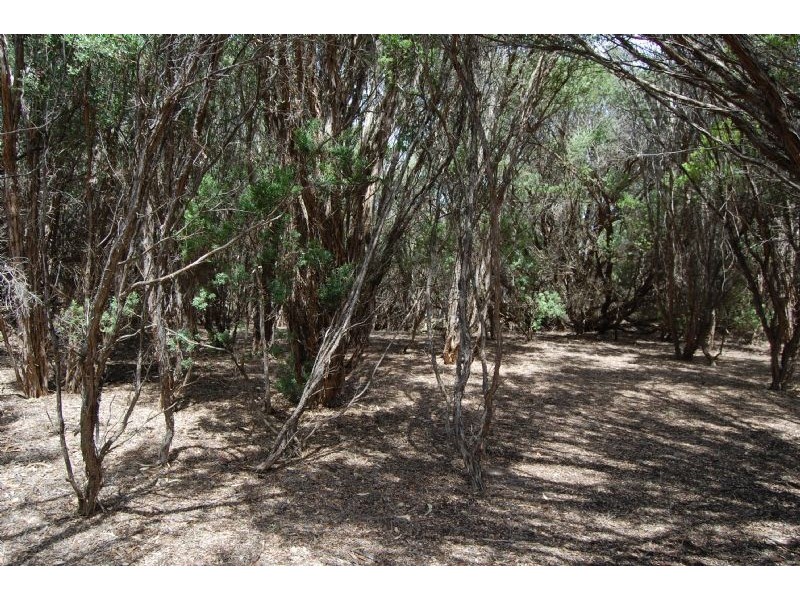 60-62 Heyfield Road, Rye VIC 3941