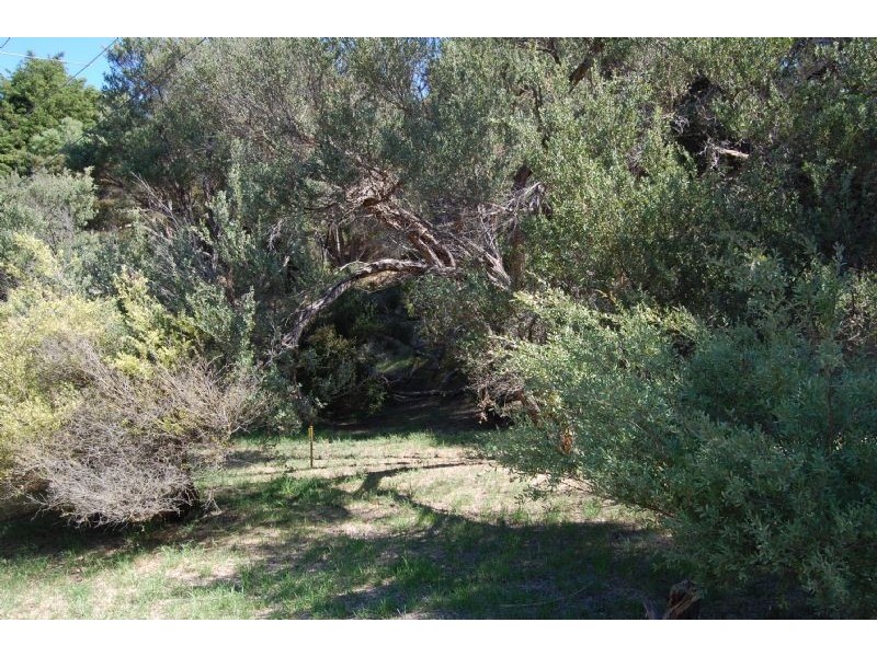 5 Burdoo Street, Rye VIC 3941