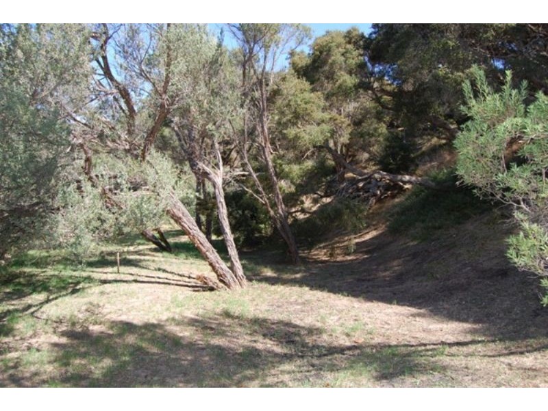 5 Burdoo Street, Rye VIC 3941