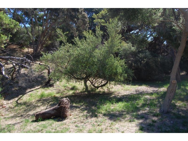 5 Burdoo Street, Rye VIC 3941