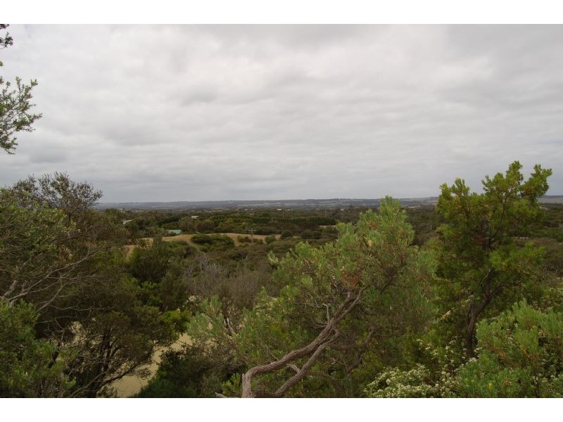 321 Sandy Road, St Andrews Beach VIC 3941