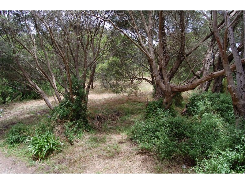 321 Sandy Road, St Andrews Beach VIC 3941