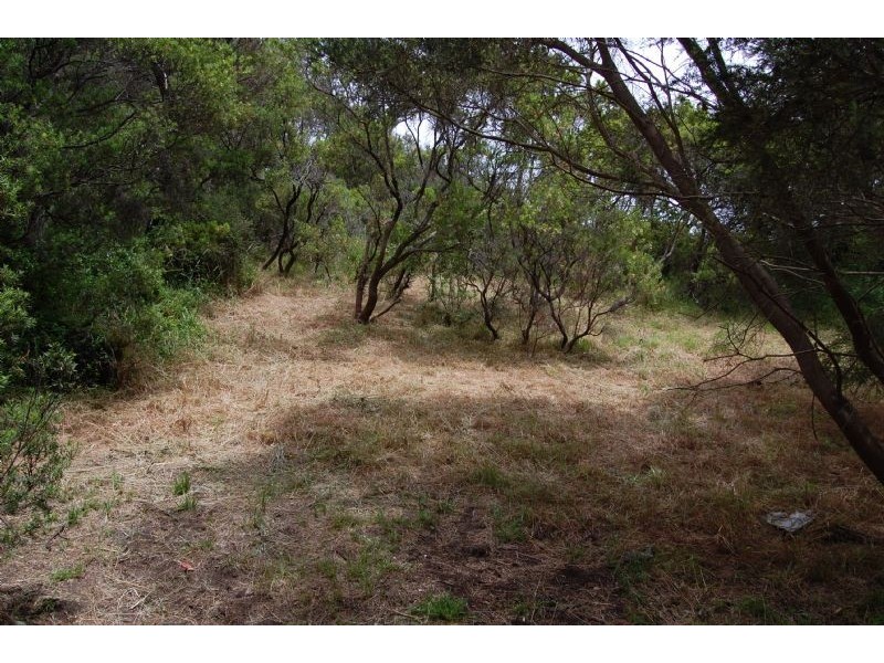 321 Sandy Road, St Andrews Beach VIC 3941