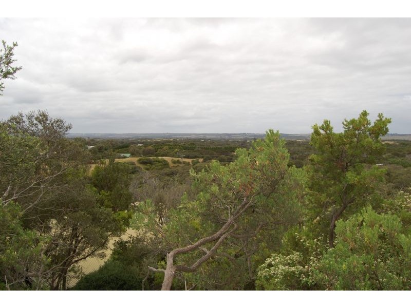 321 Sandy Road, St Andrews Beach VIC 3941