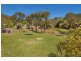 49 Curran Way, Tootgarook VIC 3941