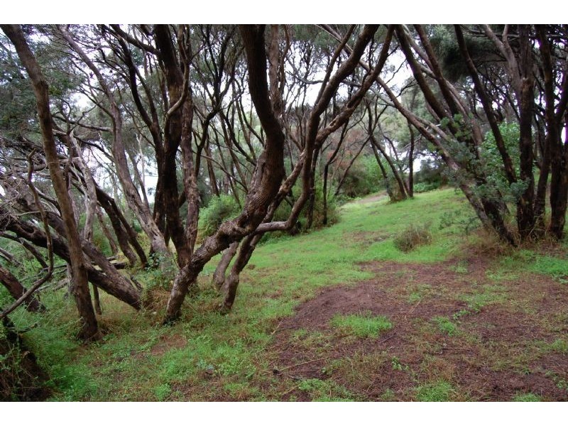 8 Galilee Court, Rye VIC 3941