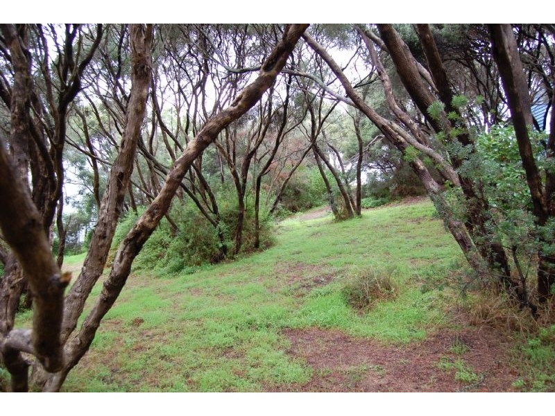 8 Galilee Court, Rye VIC 3941