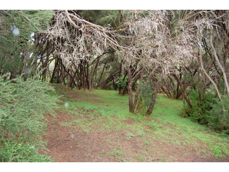 8 Galilee Court, Rye VIC 3941