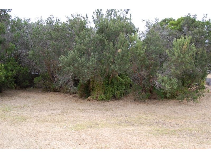 39 Wargundy Avenue, Rye VIC 3941