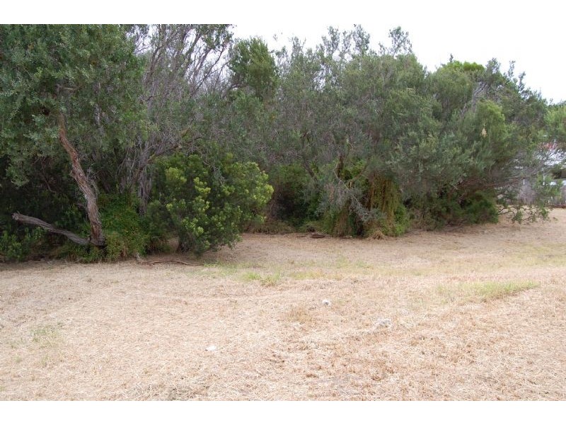 39 Wargundy Avenue, Rye VIC 3941