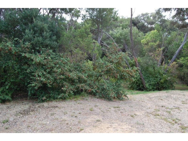 18 Bienias Crescent, Tootgarook VIC 3941