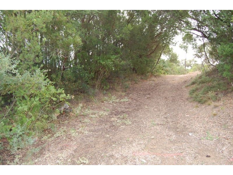 18 Bienias Crescent, Tootgarook VIC 3941