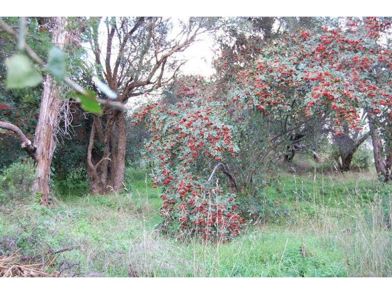 74 Weeroona Street, Rye VIC 3941