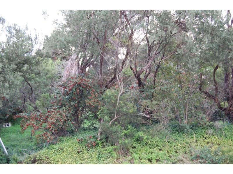 74 Weeroona Street, Rye VIC 3941