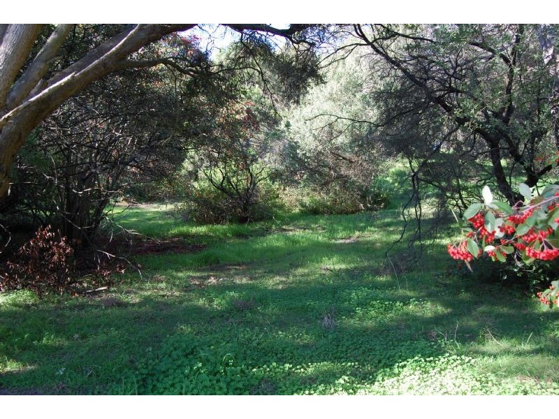 8 Roberts Street, Rye VIC 3941