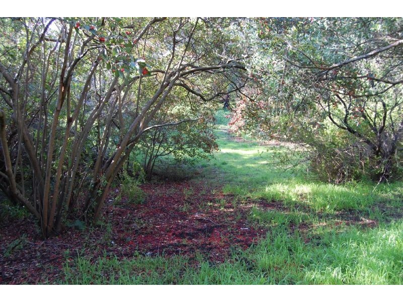 8 Roberts Street, Rye VIC 3941