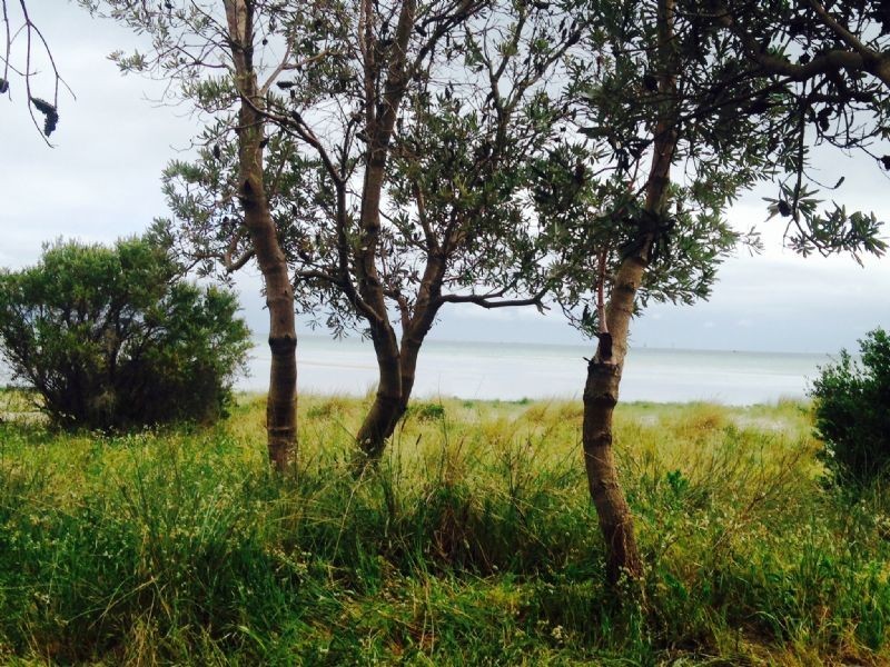 141 Boatshed, Rosebud Foreshore, Rosebud VIC 3939