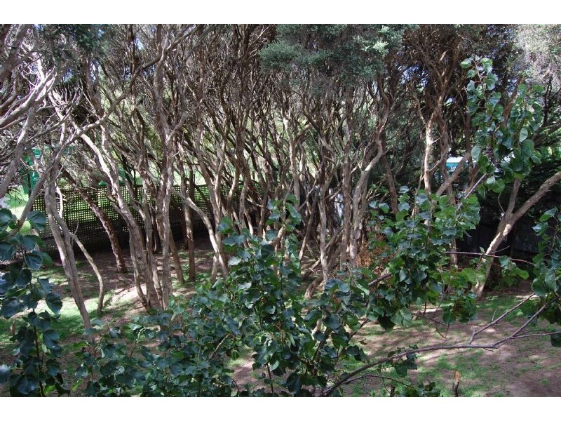 18 Stratford Road, Rye VIC 3941