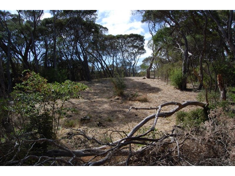 63 Flinders Street, Rye VIC 3941