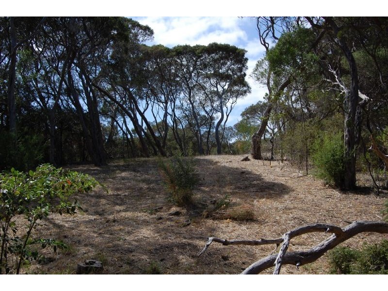 63 Flinders Street, Rye VIC 3941