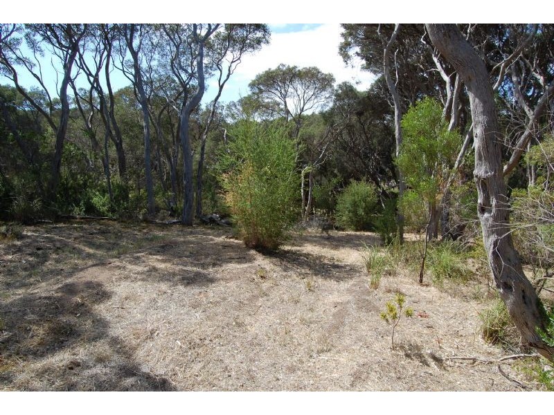 63 Flinders Street, Rye VIC 3941