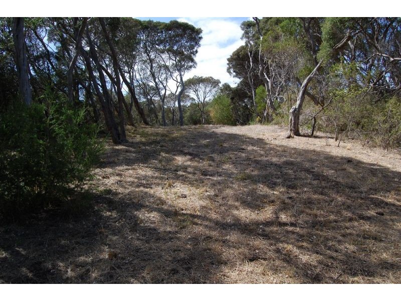 63 Flinders Street, Rye VIC 3941