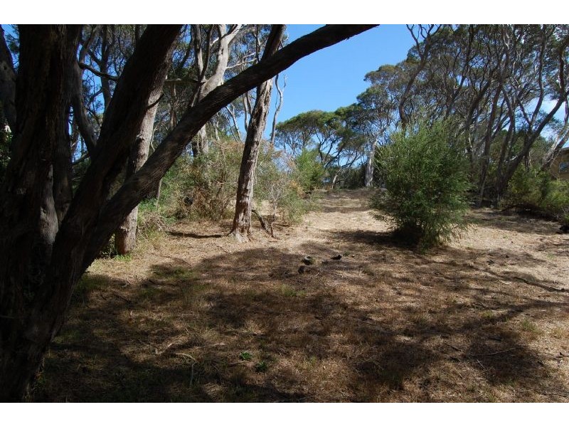 63 Flinders Street, Rye VIC 3941