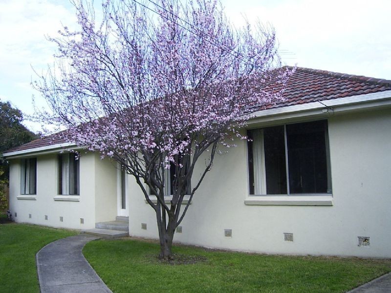 14 Ronlyn Street, Rosebud West VIC 3940