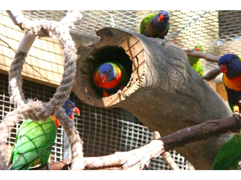 39 Seahaze Street, Arthurs Seat VIC 3936