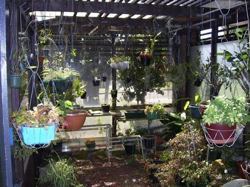 20 Graydon Court, Rosebud VIC 3939